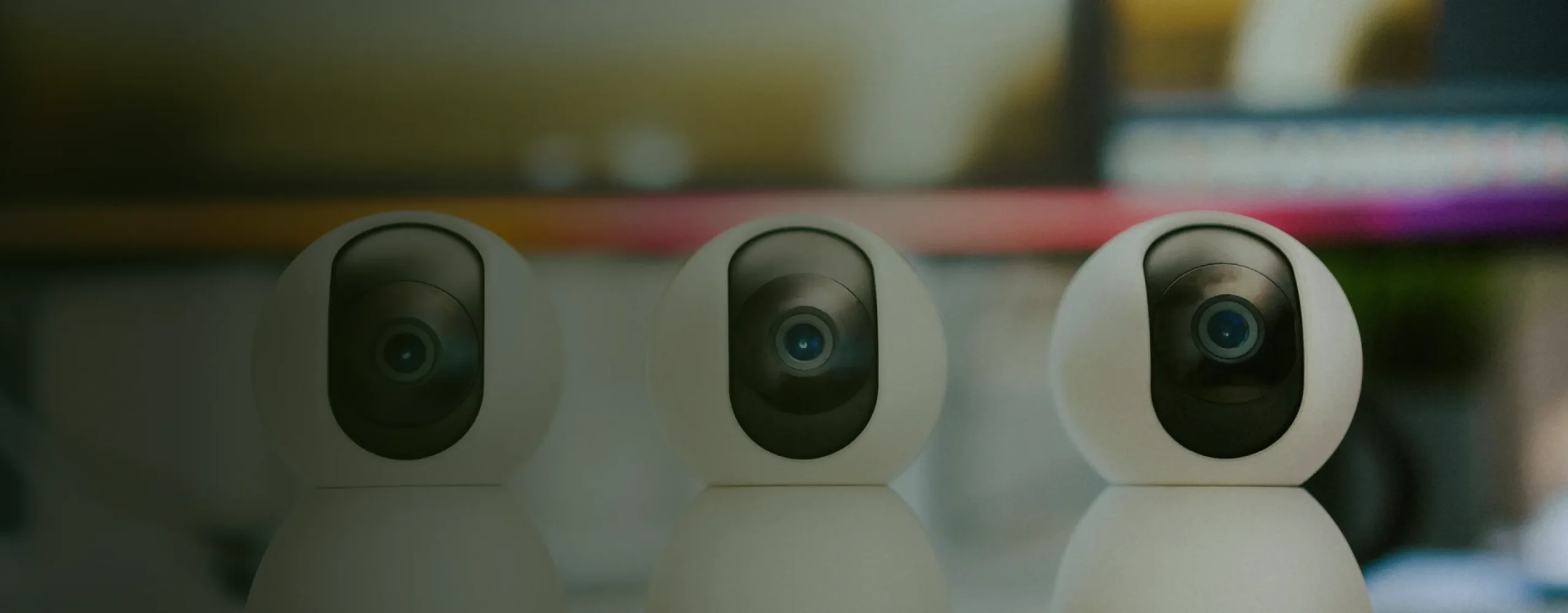 Hero Full Width Frame 1